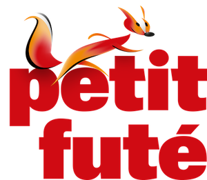 Logo petit futé