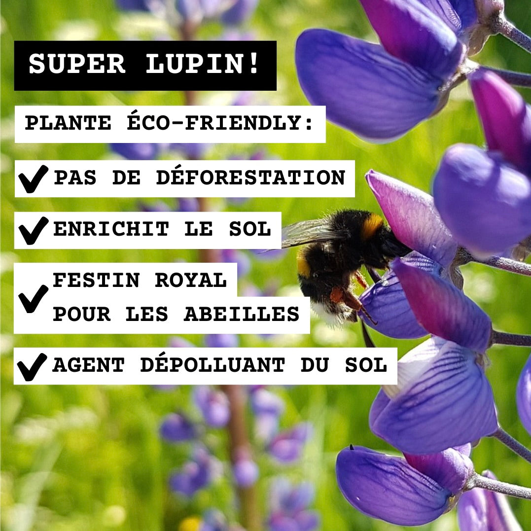 Fleur de lupin avec abeille