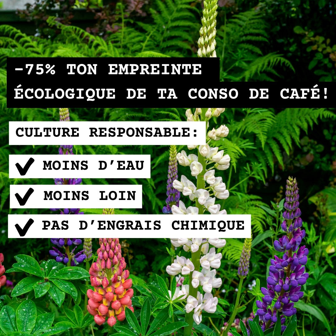 Fleur de lupin Empreinte écologique