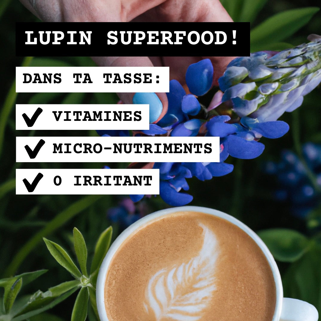 Fleur de lupin vitamines 