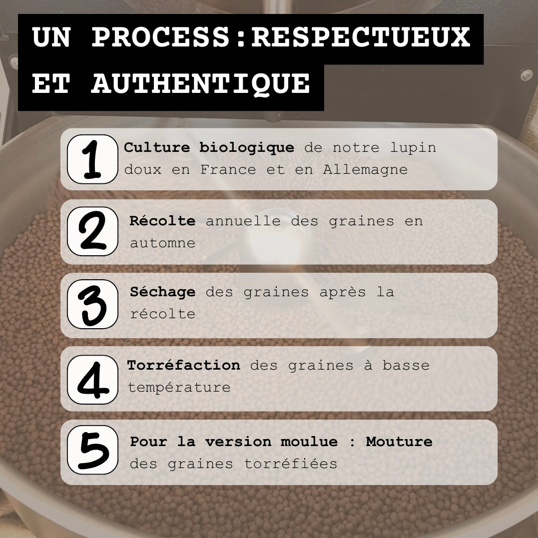 Le processus de production d'un café de lupin bio chez Lupi Coffee