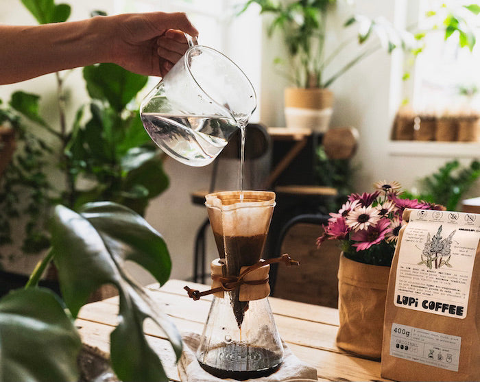 Cafetière chemex café de lupin